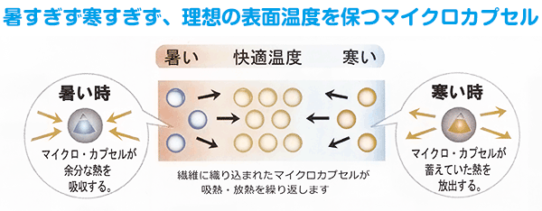 クールクール・プラス