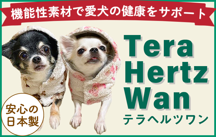 Tera Hertz Wan | pixy.DOG