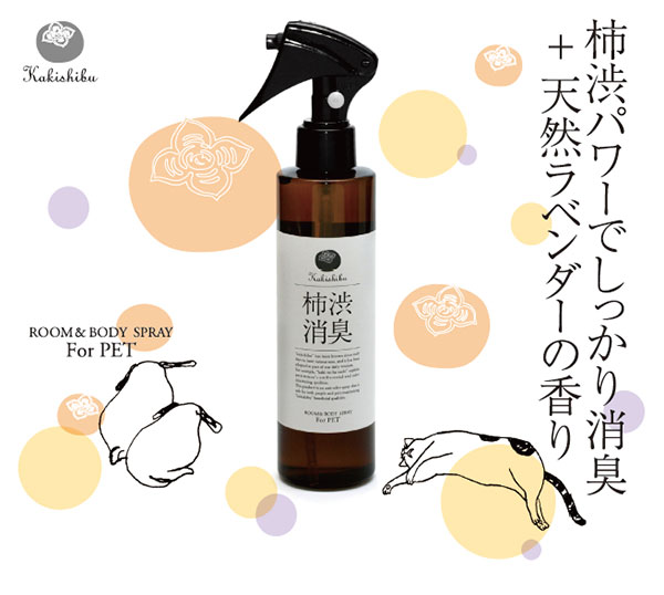 ���¾ý����ץ졼