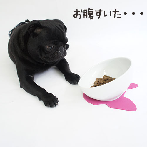 �֥� ����