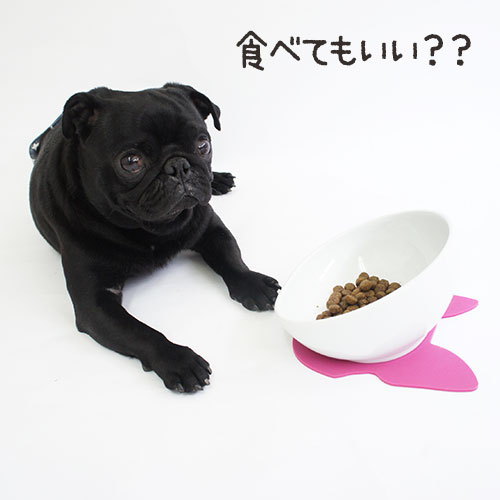 �֥� ����