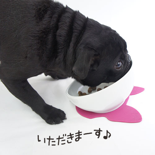 �֥� ���� 