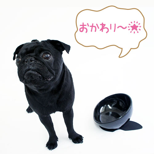 �֥� ����