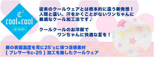 ���������塼�� Cool��Cool�ʥ����륯�����