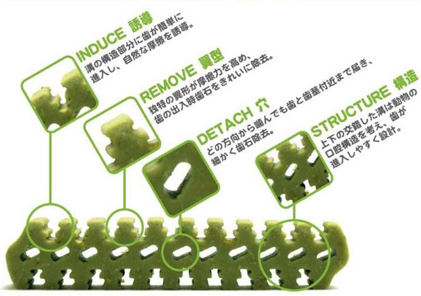 フォーキャンス デンティ3フェアリーEX