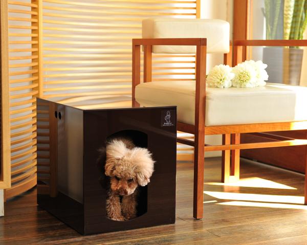 Doggylet Plus-�ɥ���åȥץ饹-