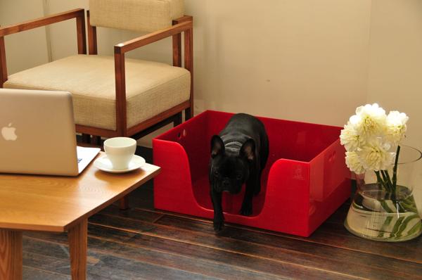 Doggylet Plus Half-�ɥ���åȥץ饹�ϡ���-