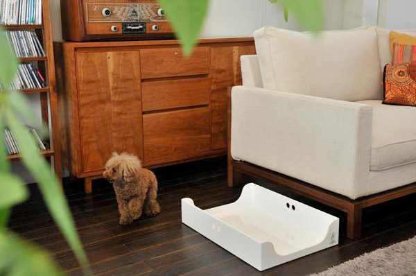 Doggylet Short-�ɥ���åȥ��硼�ȡʲ���ѡ�-