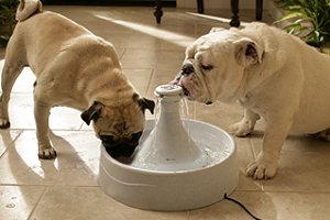 �ģ����ף���ڥåȥե�����ƥ�