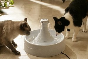 �ģ����ף���ڥåȥե�����ƥ�