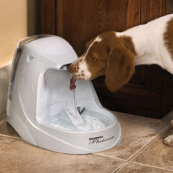 �ģ����ף���ڥåȥե�����ƥ�