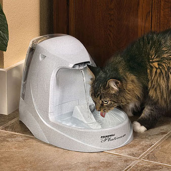 �ģ����ף���ڥåȥե�����ƥ�