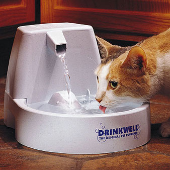 �ģ����ף���ڥåȥե�����ƥ�