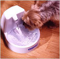 �ģ����ף���ڥåȥե�����ƥ�