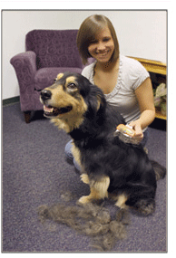 �ե����ߥ͡�����