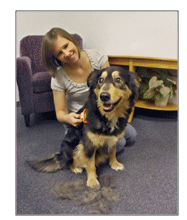 �ե����ߥ͡�����