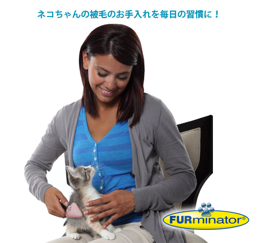 �ե����ߥ͡�����