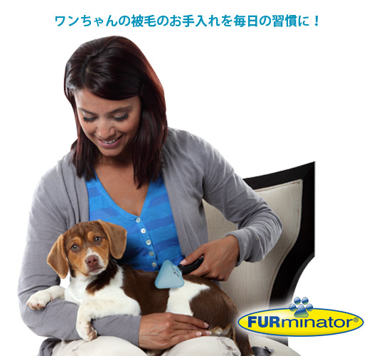 �ե����ߥ͡�����