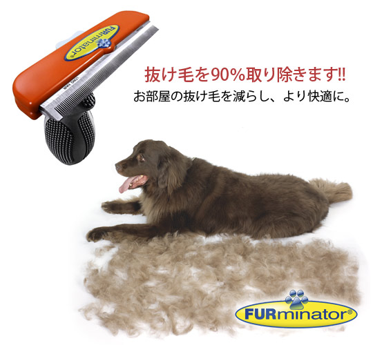 �ե����ߥ͡����� Ĺ�Ӽ���