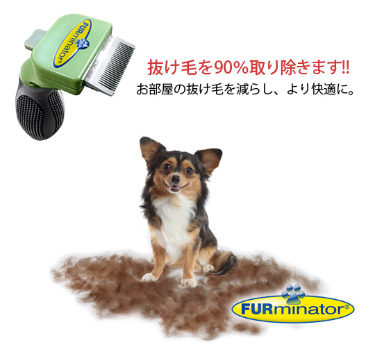 �ե����ߥ͡����� Ĺ�Ӽ���