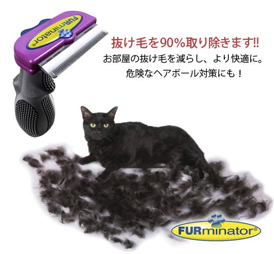 �ե����ߥ͡����� û�Ӽ���