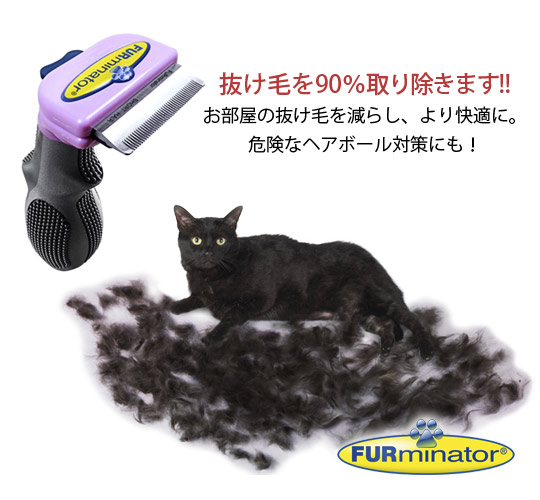 �ե����ߥ͡����� û�Ӽ���