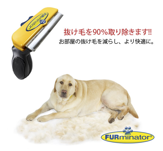 �ե����ߥ͡����� û�Ӽ���