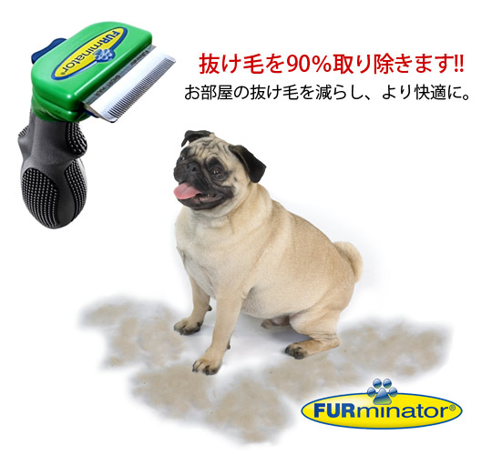 �ե����ߥ͡����� û�Ӽ���