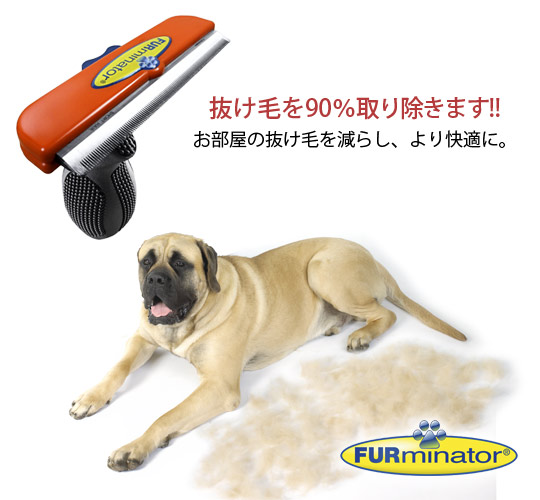 �ե����ߥ͡����� û�Ӽ���