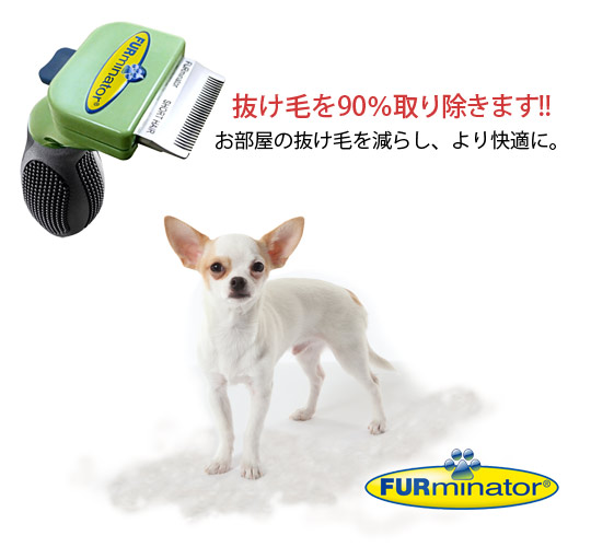 �ե����ߥ͡����� û�Ӽ���