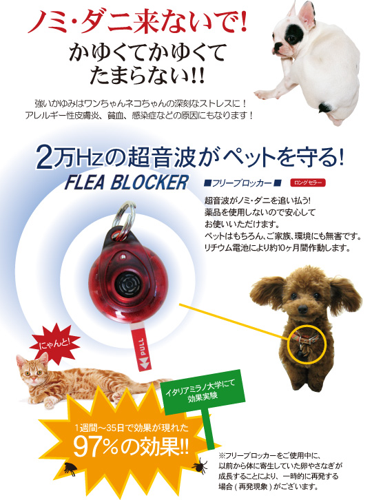 �ե꡼�֥��å���