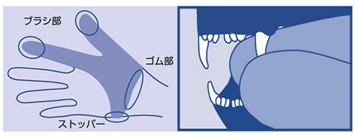 ǭ������