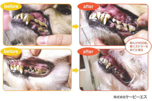 �ޥ������꡼�ʡ�