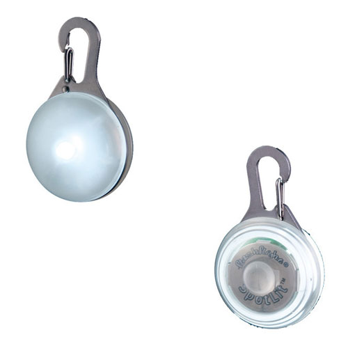 �ʥ��ȥ�����