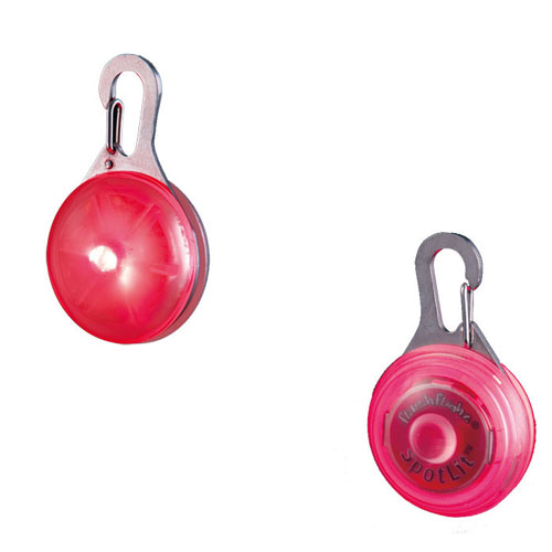 �ʥ��ȥ�����