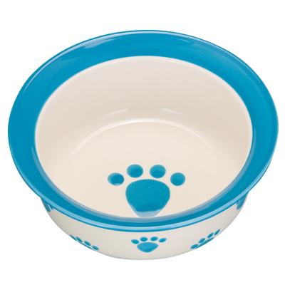 �ץ�å� ����