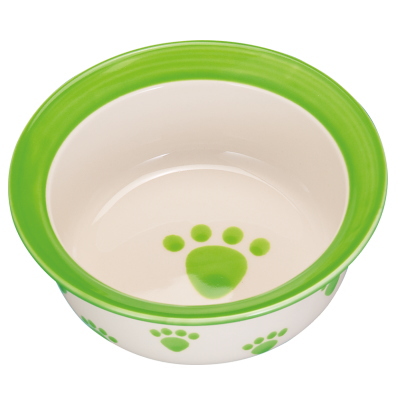 �ץ�å� ����