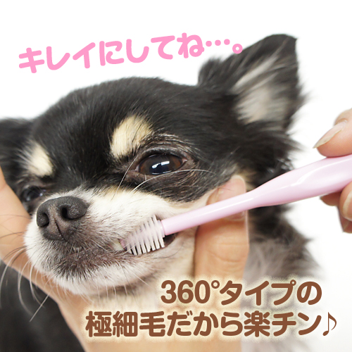 360�륿���פζ˺��Ӥ�����ڥ����