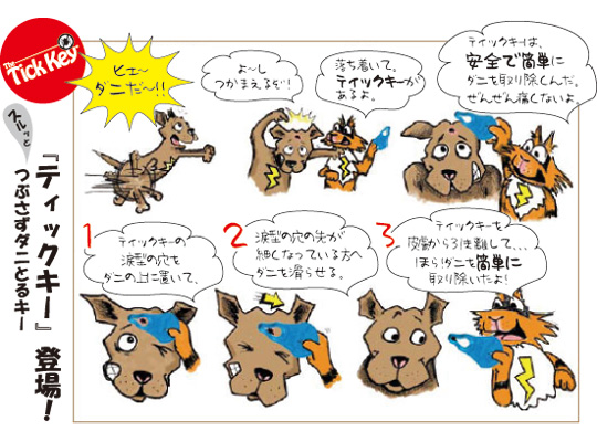 �ƥ��å�����