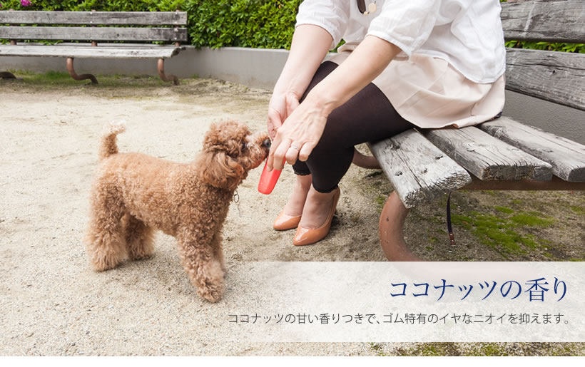 �����������ǥ�